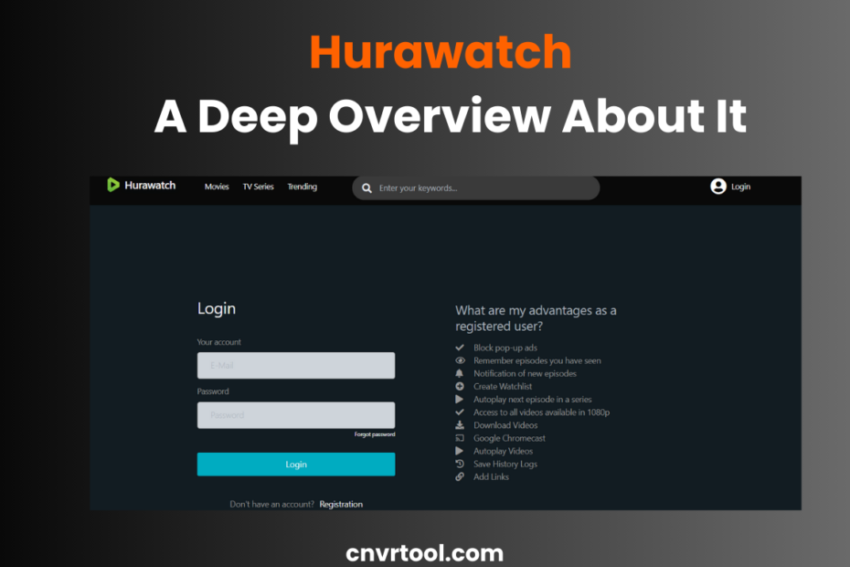 Hurawatch : A Deep Overview About It