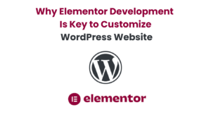 Why Elementor Development Is Key to Customize WordPress Website